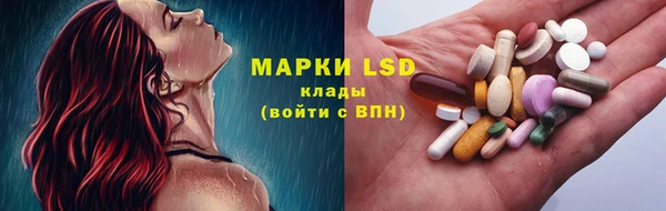 apvp Корсаков