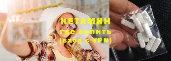 трава Коряжма