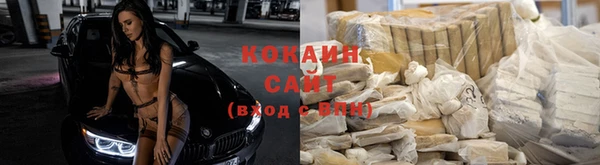apvp Корсаков