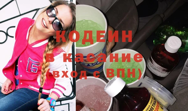 трава Коряжма