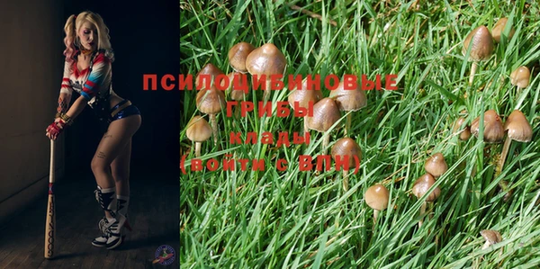 кокаин премиум Костерёво