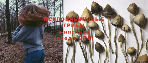 МДМА Козельск