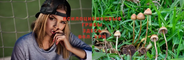 МДМА Козельск