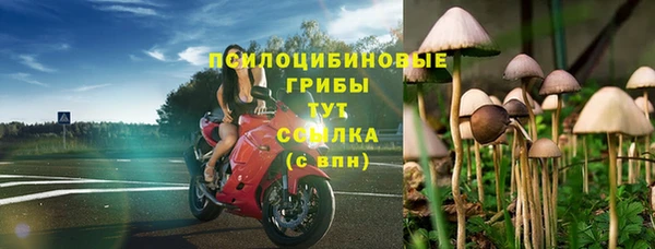 скорость Козловка