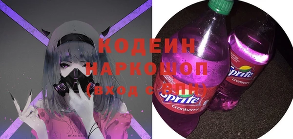 индика Кодинск