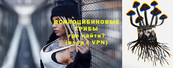 трава Коряжма
